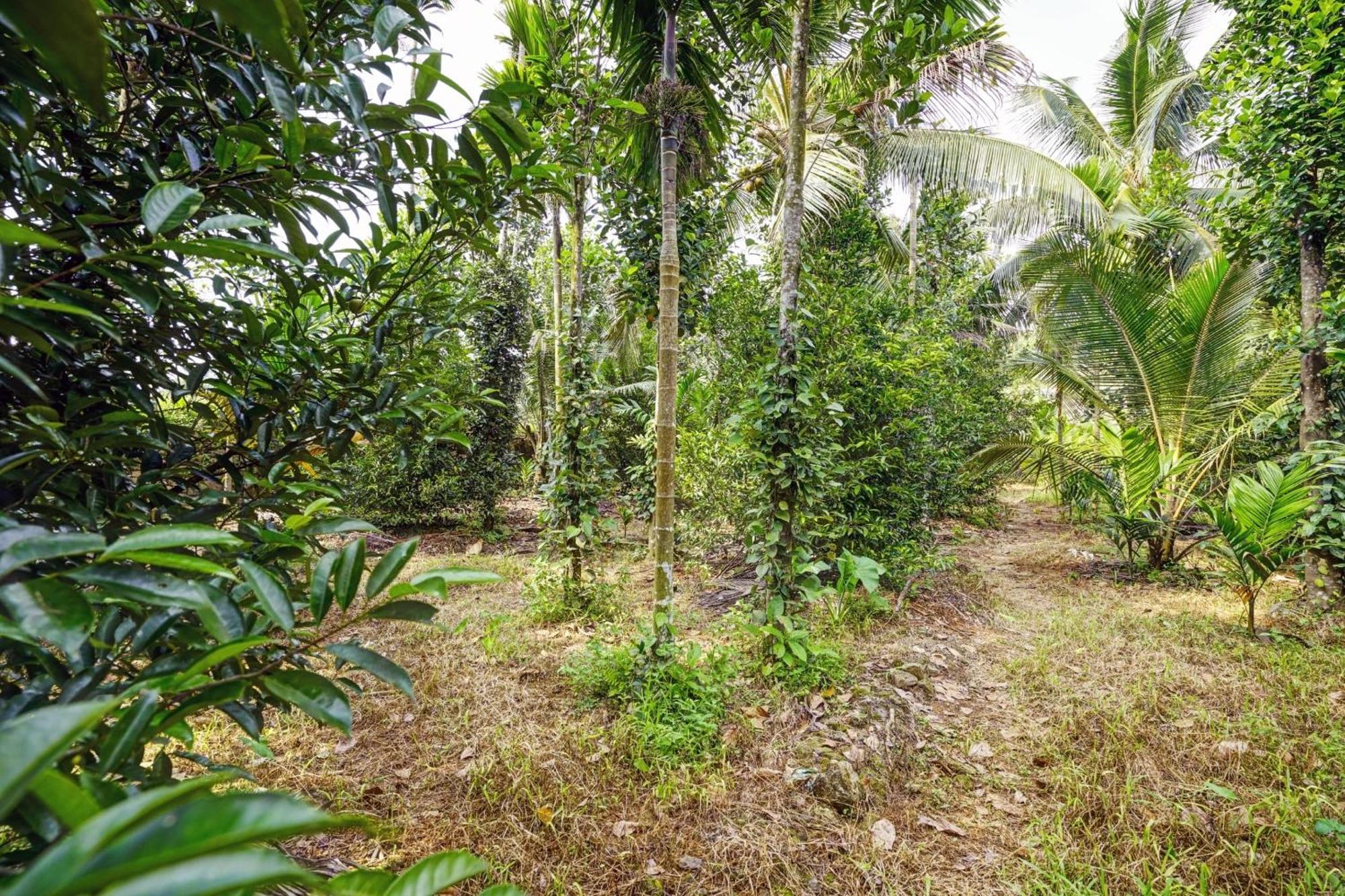 Spot On Shalom Palace Residency Neriyamangalam Екстер'єр фото