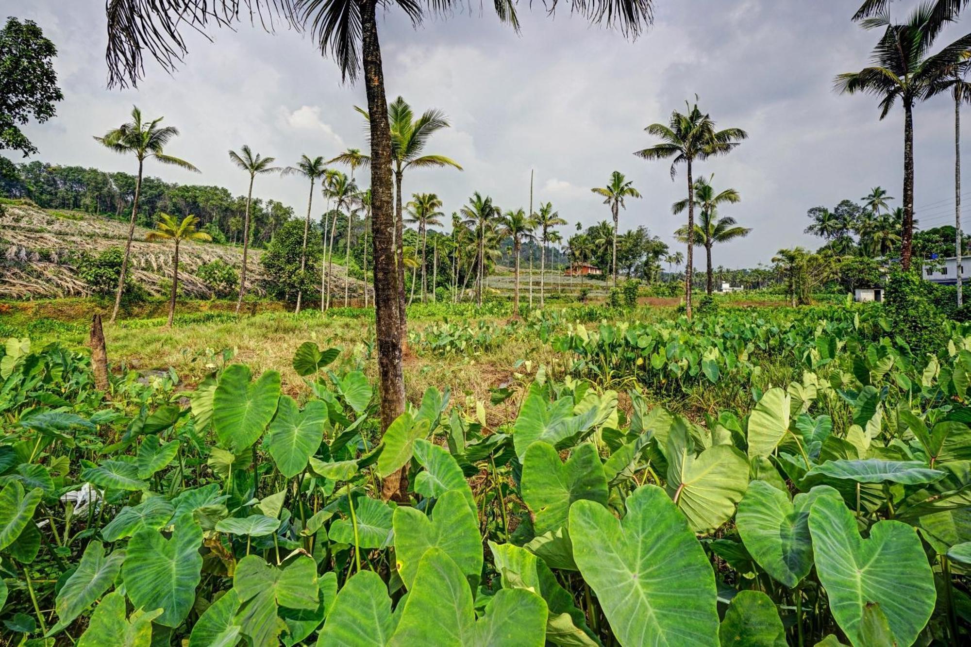 Spot On Shalom Palace Residency Neriyamangalam Екстер'єр фото