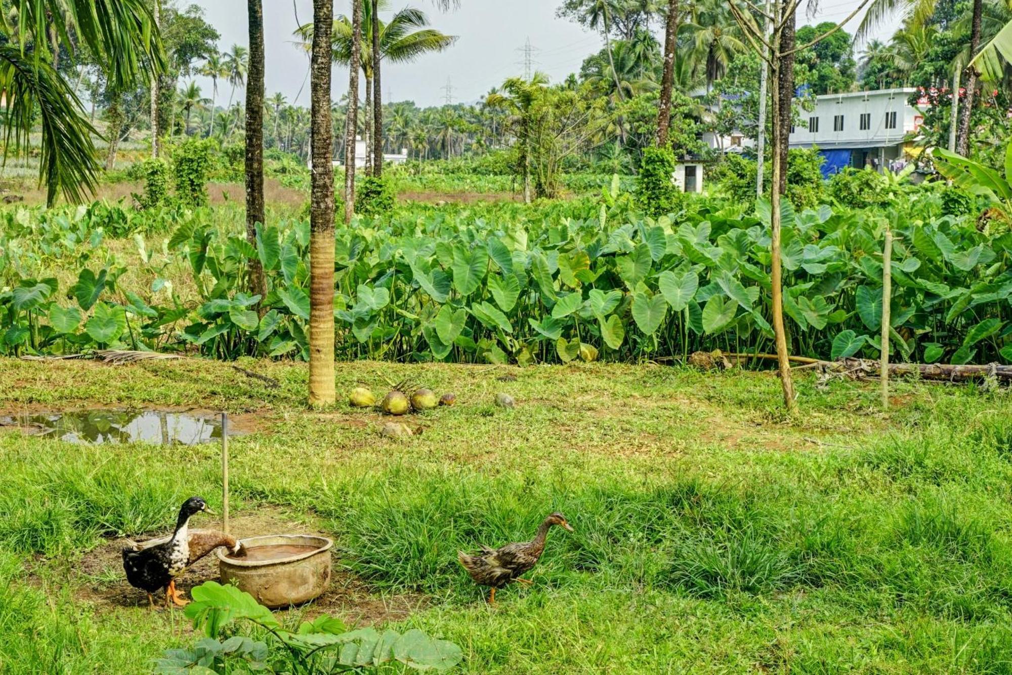Spot On Shalom Palace Residency Neriyamangalam Екстер'єр фото